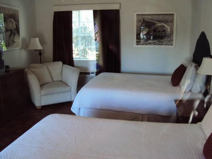 טוסון La Siesta Motel חדר תמונה